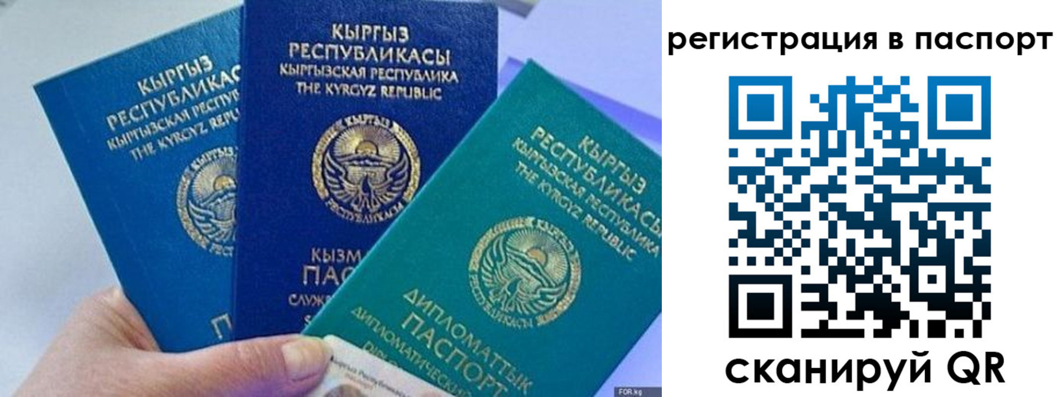 прописка 2025 в Трубчевске
